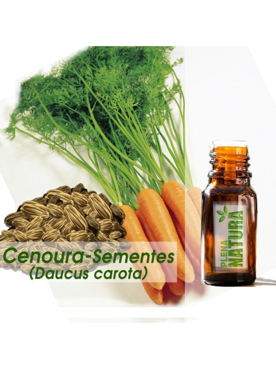 Cenoura (Sementes) - Óleo Essencial